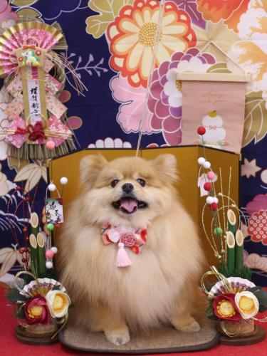 20240112梛都ちゃん